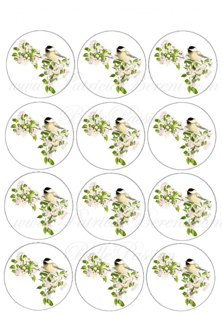 Bird 1 - 12 Buttons Text